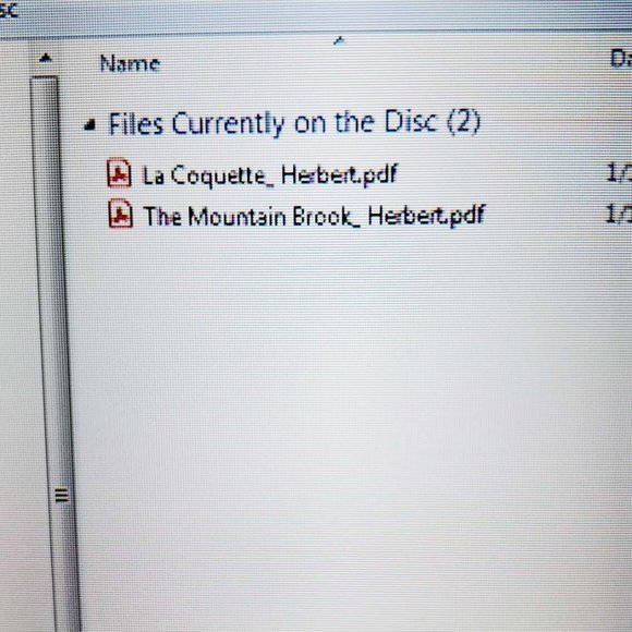 New Debussy + BONUS 6 Composers' Sheet Music Collection for Piano PDF on CD - Picture 8 of 11